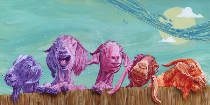 The High Council - Canvas Print