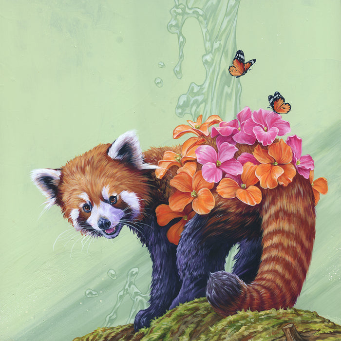Wallflower
