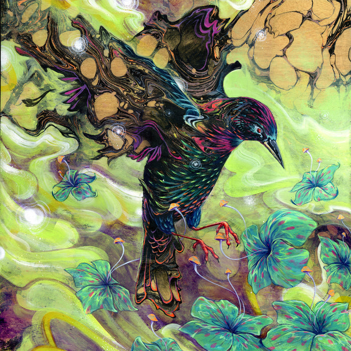 Alan Rosy Toes Limited Edition Print