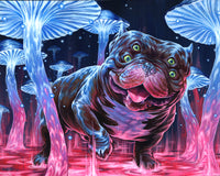 Puddles - Canvas Print